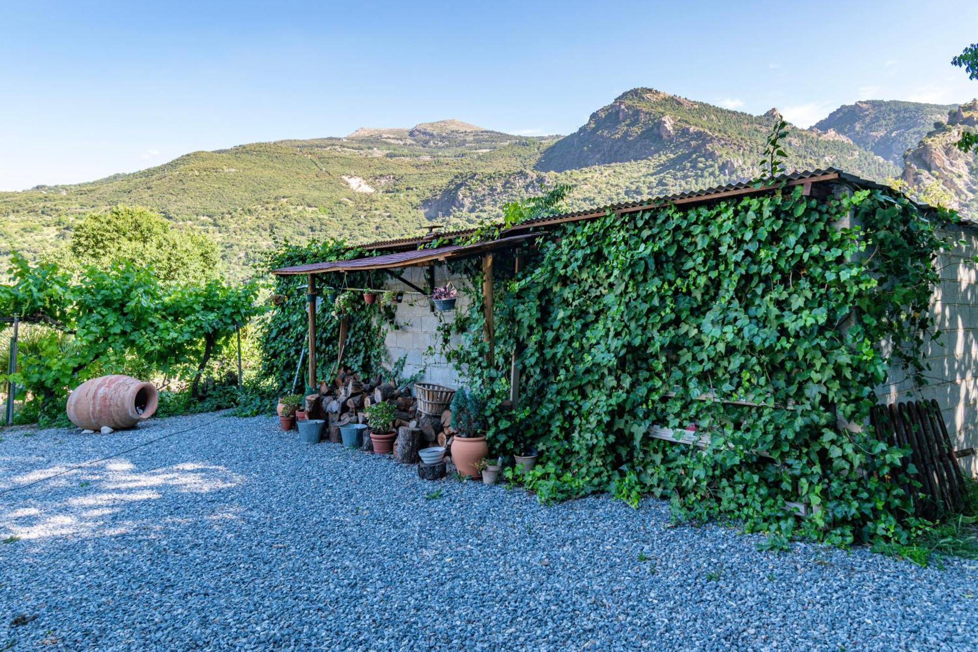 Casa Rural Olivillas Garden-Sierra Nevada Guejar Sierra Dış mekan fotoğraf